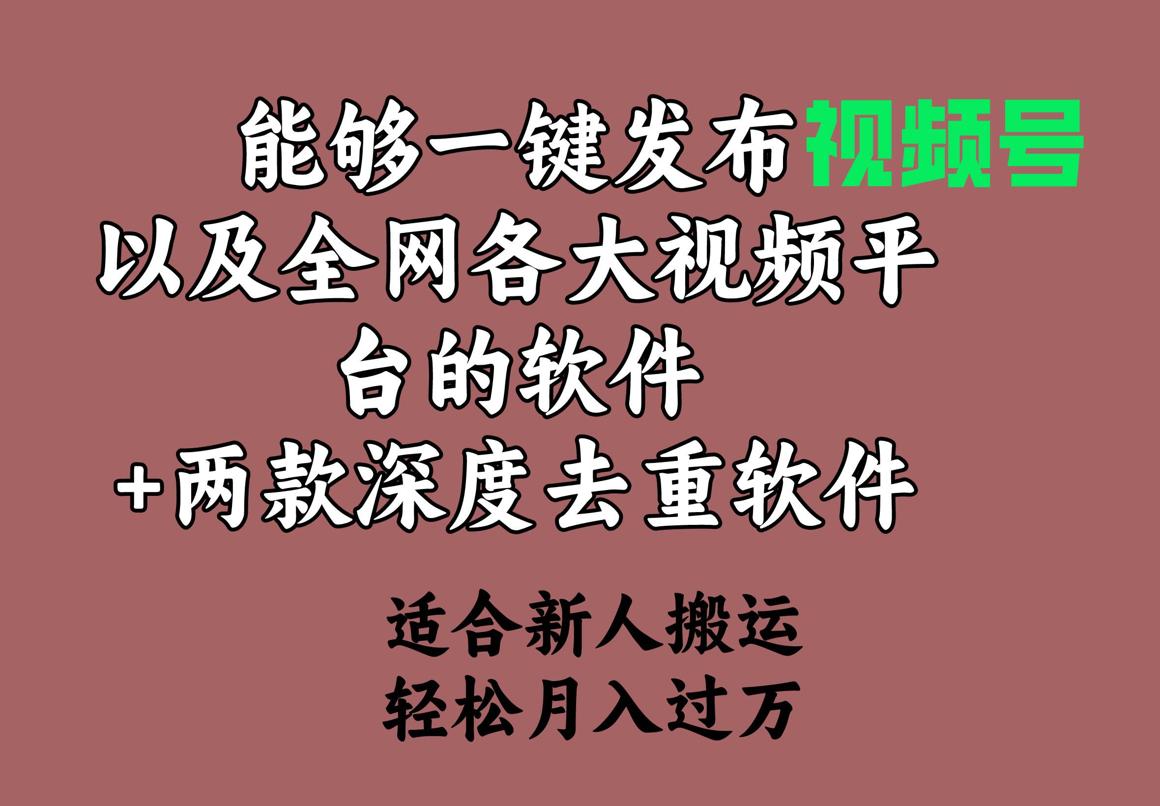 能够一键发布视频号以及全网各大视频平台的软件+两款深度去重软件 适合…-飞鱼网创