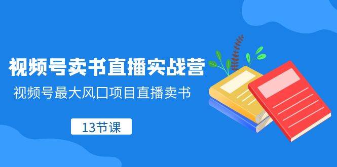 视频号-卖书直播实战营，视频号最大风囗项目直播卖书（13节课）-飞鱼网创