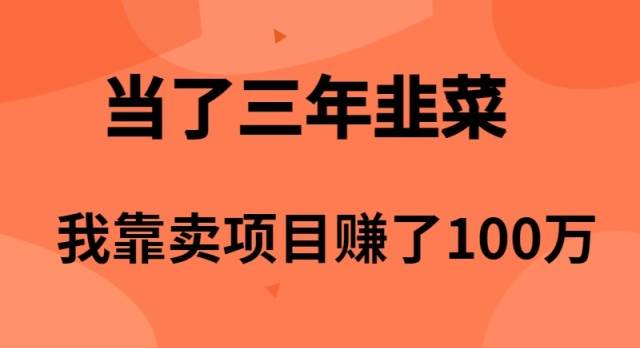 当了3年韭菜，我靠卖项目赚了100万-飞鱼网创