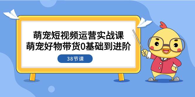 萌宠·短视频运营实战课：萌宠好物带货0基础到进阶（38节课）-飞鱼网创