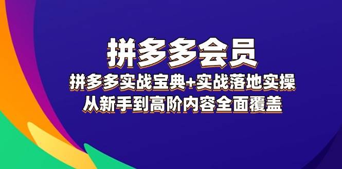 拼多多 会员，拼多多实战宝典+实战落地实操，从新手到高阶内容全面覆盖-飞鱼网创