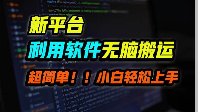 新平台用软件无脑搬运，月赚10000+，小白也能轻松上手-飞鱼网创