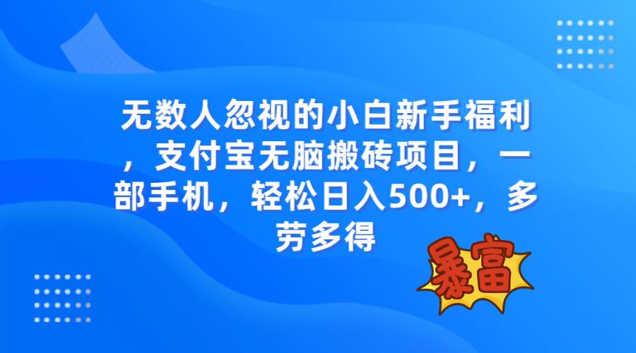 无数人忽视的项目，支付宝无脑搬砖项目，一部手机即可操作，轻松日入500+-飞鱼网创