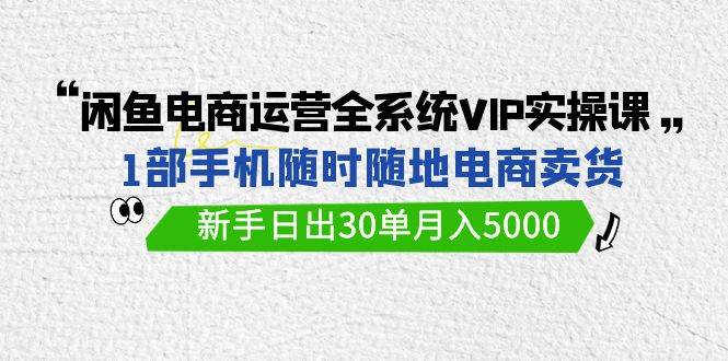 闲鱼电商运营全系统VIP实战课，1部手机随时随地卖货，新手日出30单月入5000-飞鱼网创