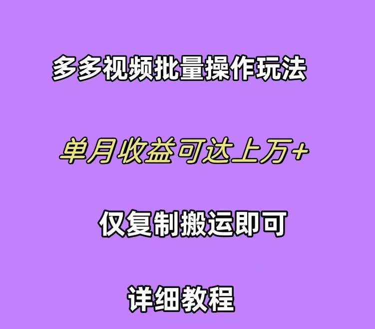 拼多多视频带货快速过爆款选品教程 每天轻轻松松赚取三位数佣金 小白必…-飞鱼网创