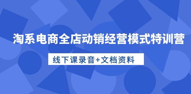 淘系电商全店动销经营模式特训营，线下课录音+文档资料-飞鱼网创