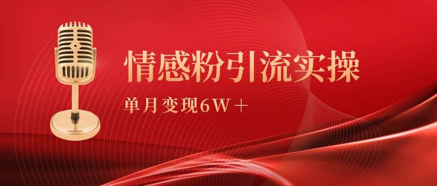 单月变现6w+，情感粉引流变现实操课-飞鱼网创