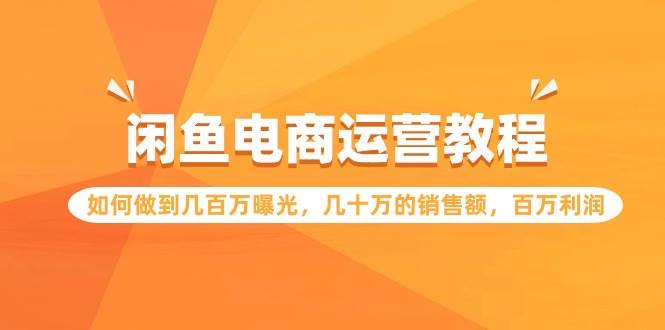 闲鱼电商运营教程：如何做到几百万曝光，几十万的销售额，百万利润-飞鱼网创