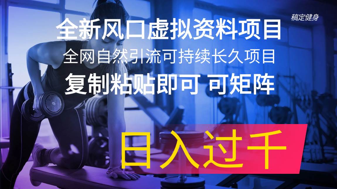 全新风口虚拟资料项目 全网自然引流可持续长久项目 复制粘贴即可可矩阵…-飞鱼网创