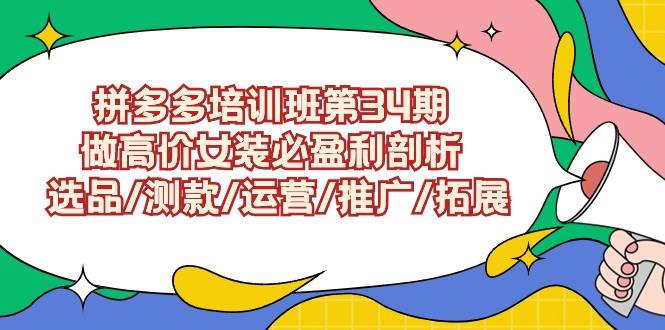 拼多多培训班第34期：做高价女装必盈利剖析  选品/测款/运营/推广/拓展-飞鱼网创