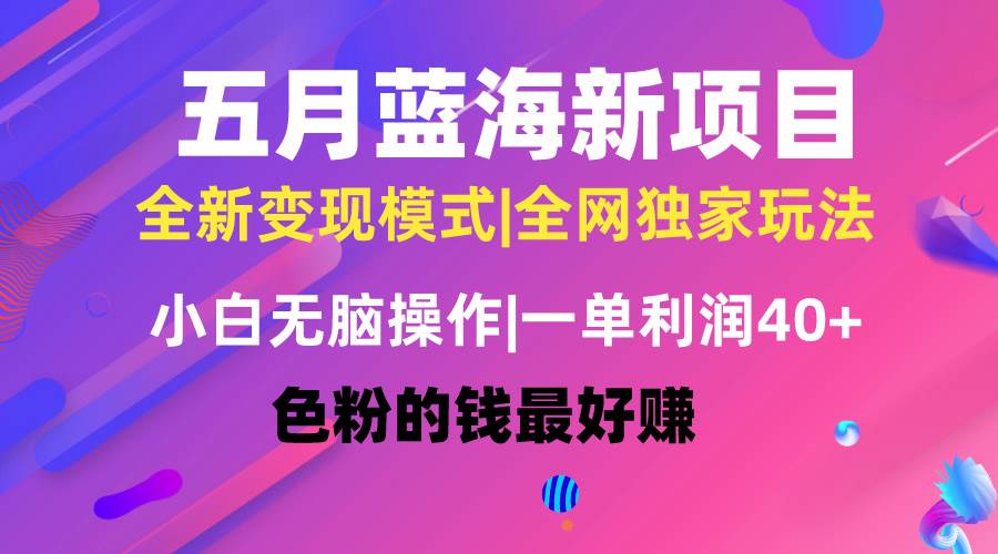 五月蓝海项目全新玩法，小白无脑操作，一天几分钟，矩阵操作，月入4万+-飞鱼网创