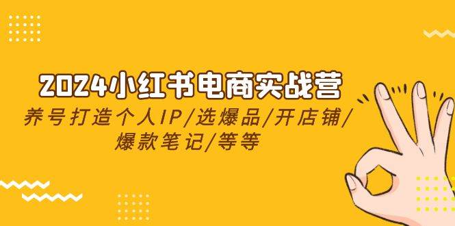 2024小红书电商实战营，养号打造IP/选爆品/开店铺/爆款笔记/等等（24节）-飞鱼网创