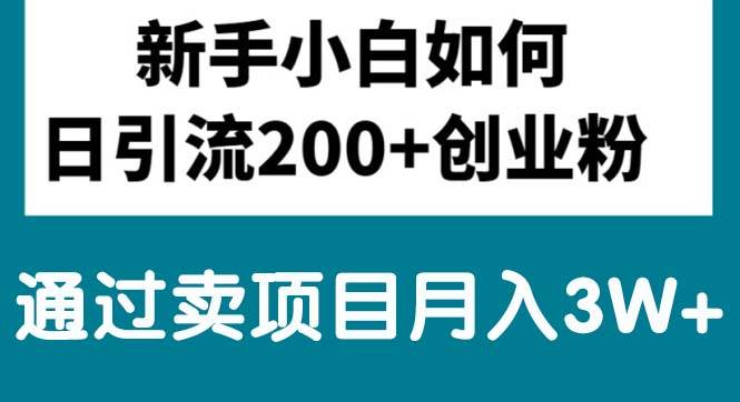 新手小白日引流200+创业粉,通过卖项目月入3W+-飞鱼网创