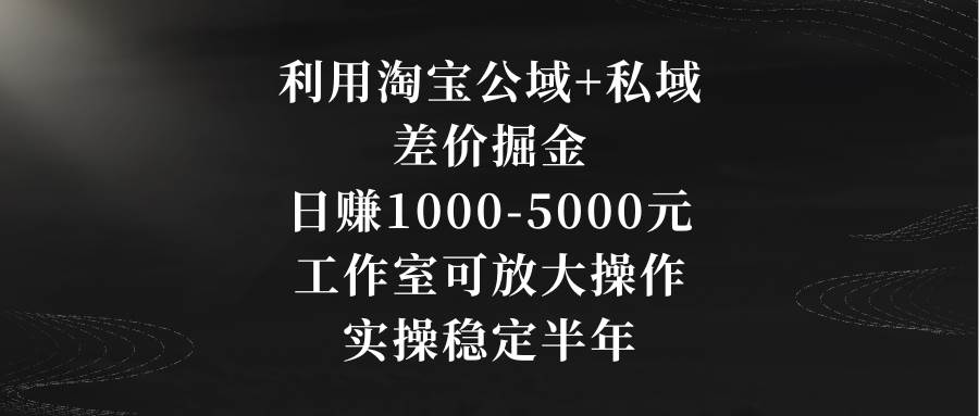 利用淘宝公域+私域差价掘金，日赚1000-5000元，工作室可放大操作，实操…-飞鱼网创