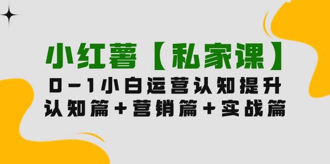 小红薯【私家课】0-1玩赚小红书内容营销，认知篇+营销篇+实战篇（11节课）-飞鱼网创