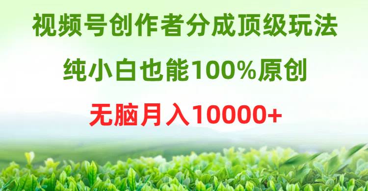 视频号创作者分成顶级玩法，纯小白也能100%原创，无脑月入10000+-飞鱼网创