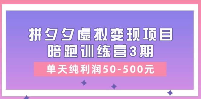 某收费培训《拼夕夕虚拟变现项目陪跑训练营3期》单天纯利润50-500元-飞鱼网创