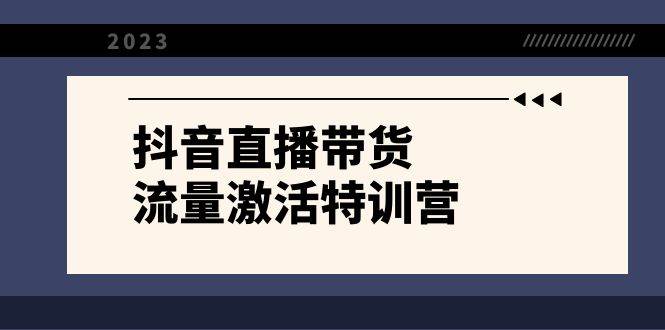 抖音直播带货-流量激活特训营，入行新手小白主播必学（21节课+资料）-飞鱼网创