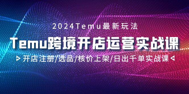 2024Temu跨境开店运营实战课，开店注册/选品/核价上架/日出千单实战课-飞鱼网创