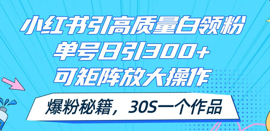 小红书引高质量白领粉，单号日引300+，可放大操作，爆粉秘籍！30s一个作品-飞鱼网创