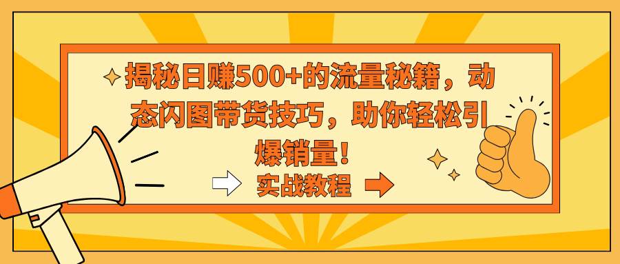 揭秘日赚500+的流量秘籍，动态闪图带货技巧，助你轻松引爆销量！-飞鱼网创