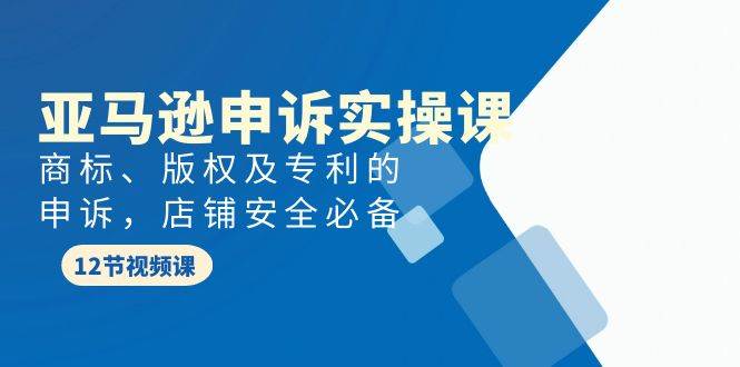 亚马逊-申诉实战课，商标、版权及专利的申诉，店铺安全必备-飞鱼网创