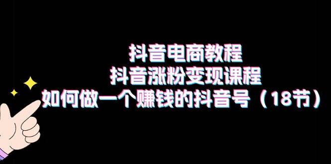 抖音电商教程：抖音涨粉变现课程：如何做一个赚钱的抖音号（18节）-飞鱼网创