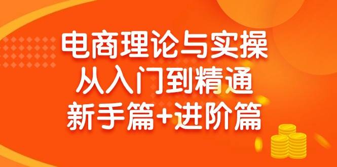 电商理论与实操从入门到精通 新手篇+进阶篇-飞鱼网创