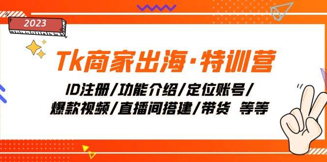 Tk商家出海·特训营：ID注册/功能介绍/定位账号/爆款视频/直播间搭建/带货-飞鱼网创