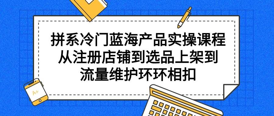 拼系冷门蓝海产品实操课程，从注册店铺到选品上架到流量维护环环相扣-飞鱼网创