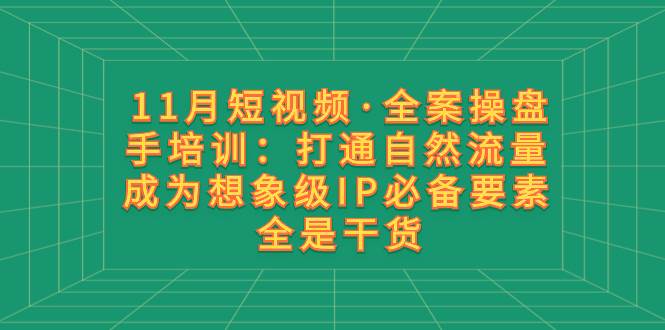 11月短视频·全案操盘手培训：打通自然流量 成为想象级IP必备要素 全是干货-飞鱼网创