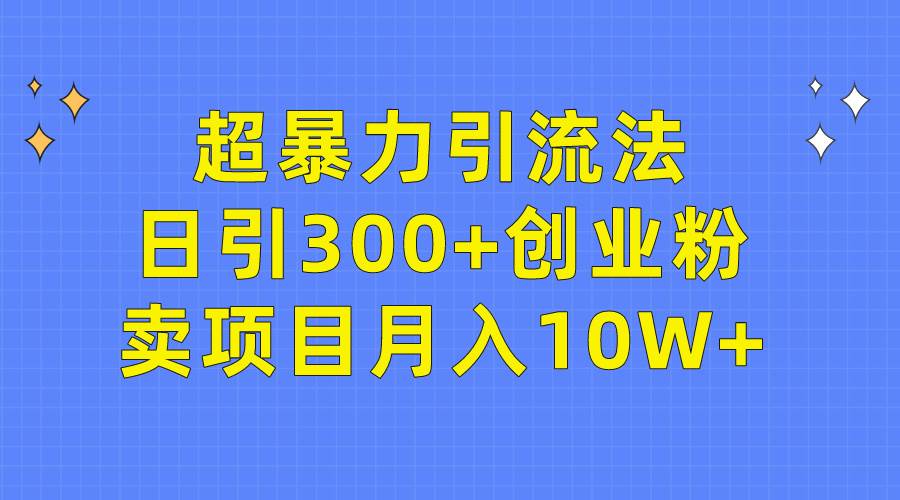 超暴力引流法，日引300+创业粉，卖项目月入10W+-飞鱼网创