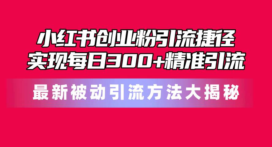 小红书创业粉引流捷径！最新被动引流方法大揭秘，实现每日300+精准引流-飞鱼网创