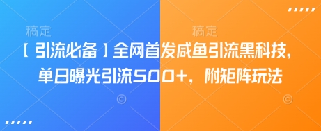 【引流必备】全网首发咸鱼引流黑科技，单日曝光引流500+，附矩阵玩法【揭秘】-飞鱼网创