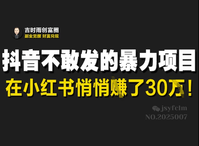 抖音不敢发的暴利项目，在小红书悄悄挣了30W-飞鱼网创